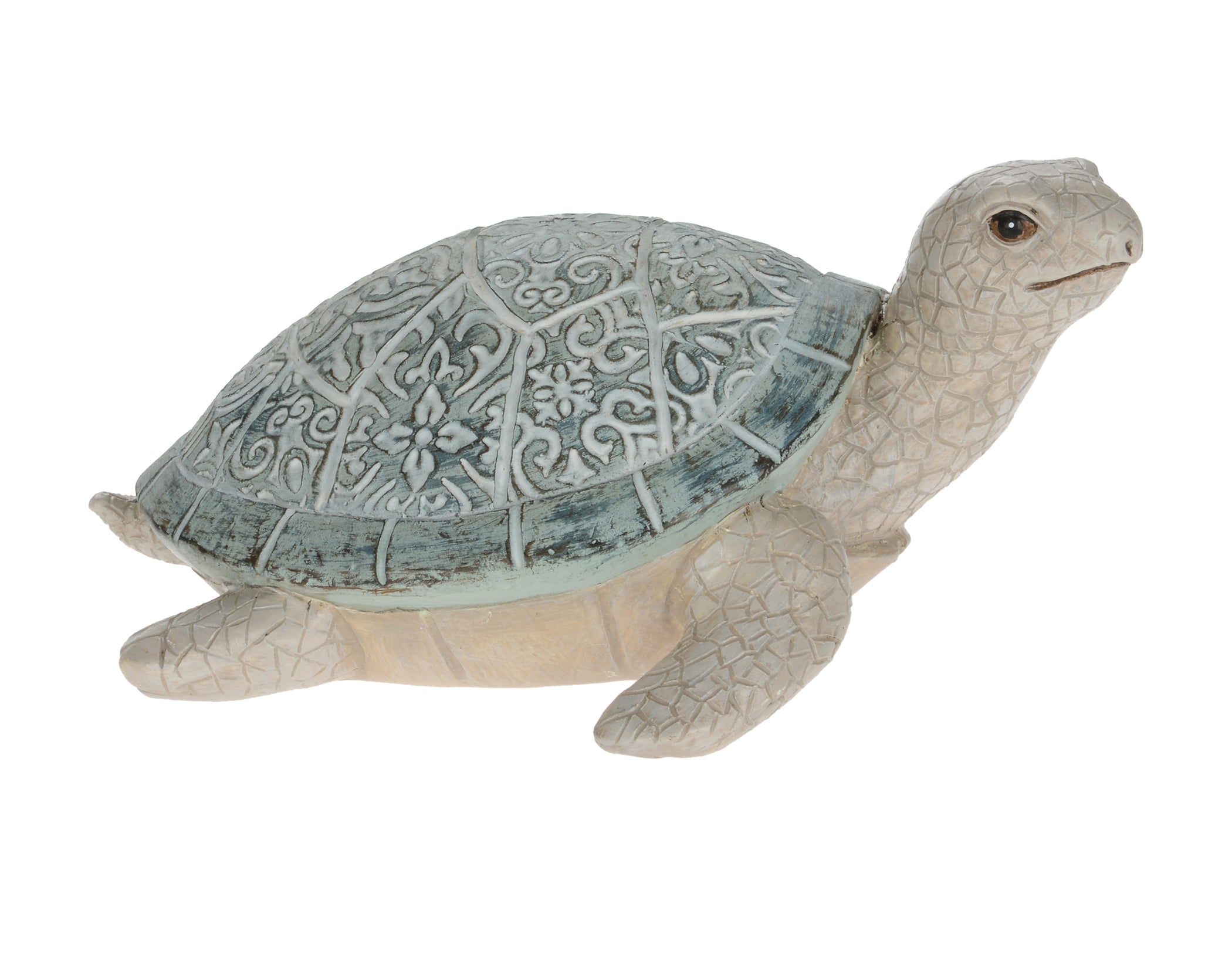 Ivory & Blue Turtle