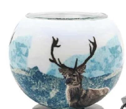 Claymaster Light Glass Globe-Buck