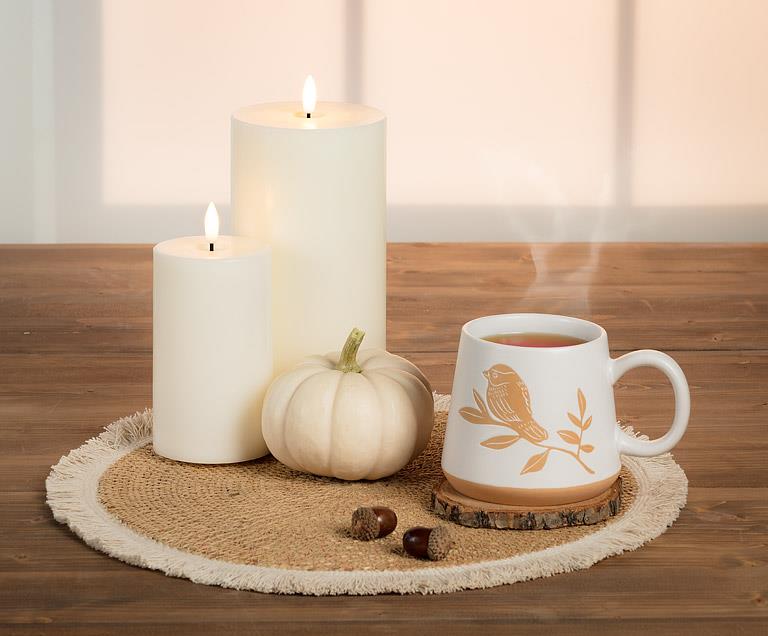 Oversized Mug with Birds on a Branch