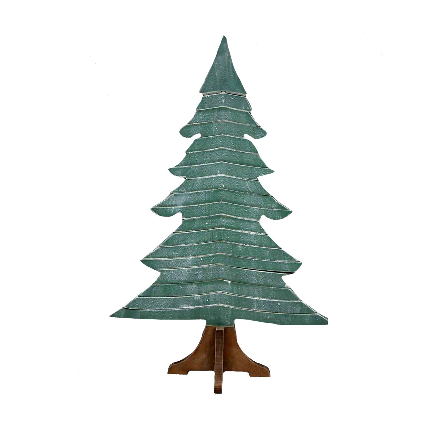 Large Evergreen Tree