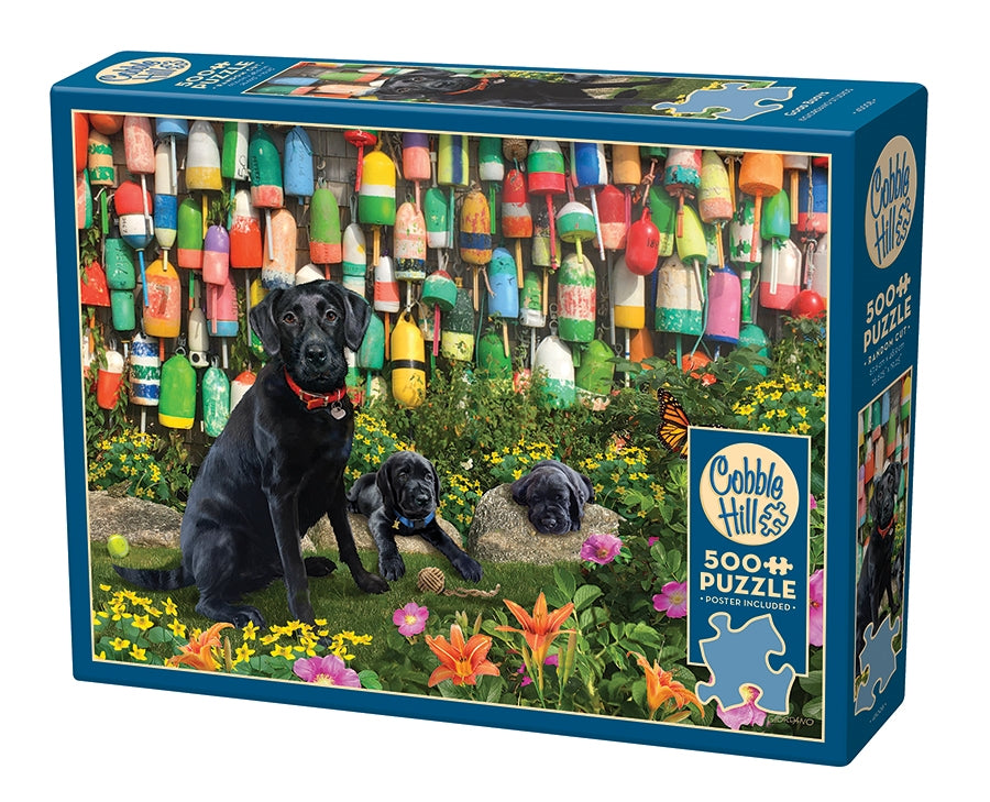 Cobble Hill Puzzle: Good Buoys