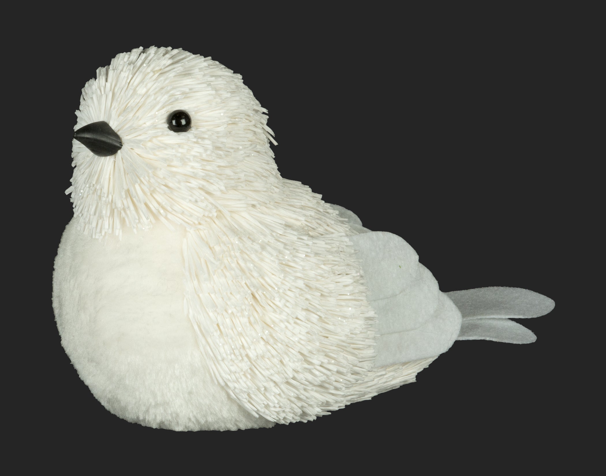 White Sitting Winter Bird