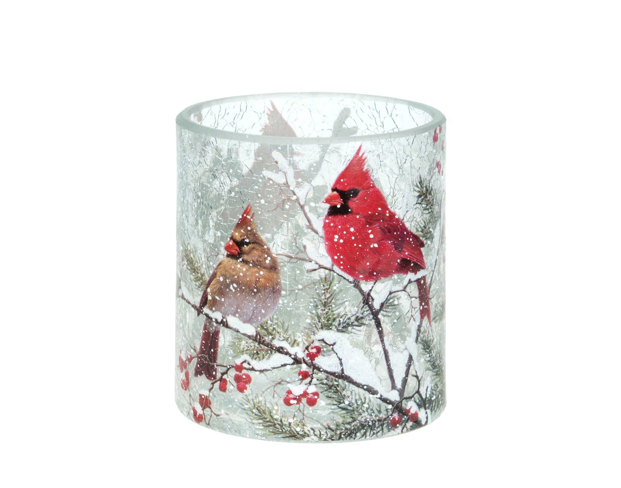 Hurricane With Cardinals