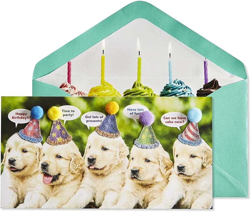 Birthday Card-Row of Puppies