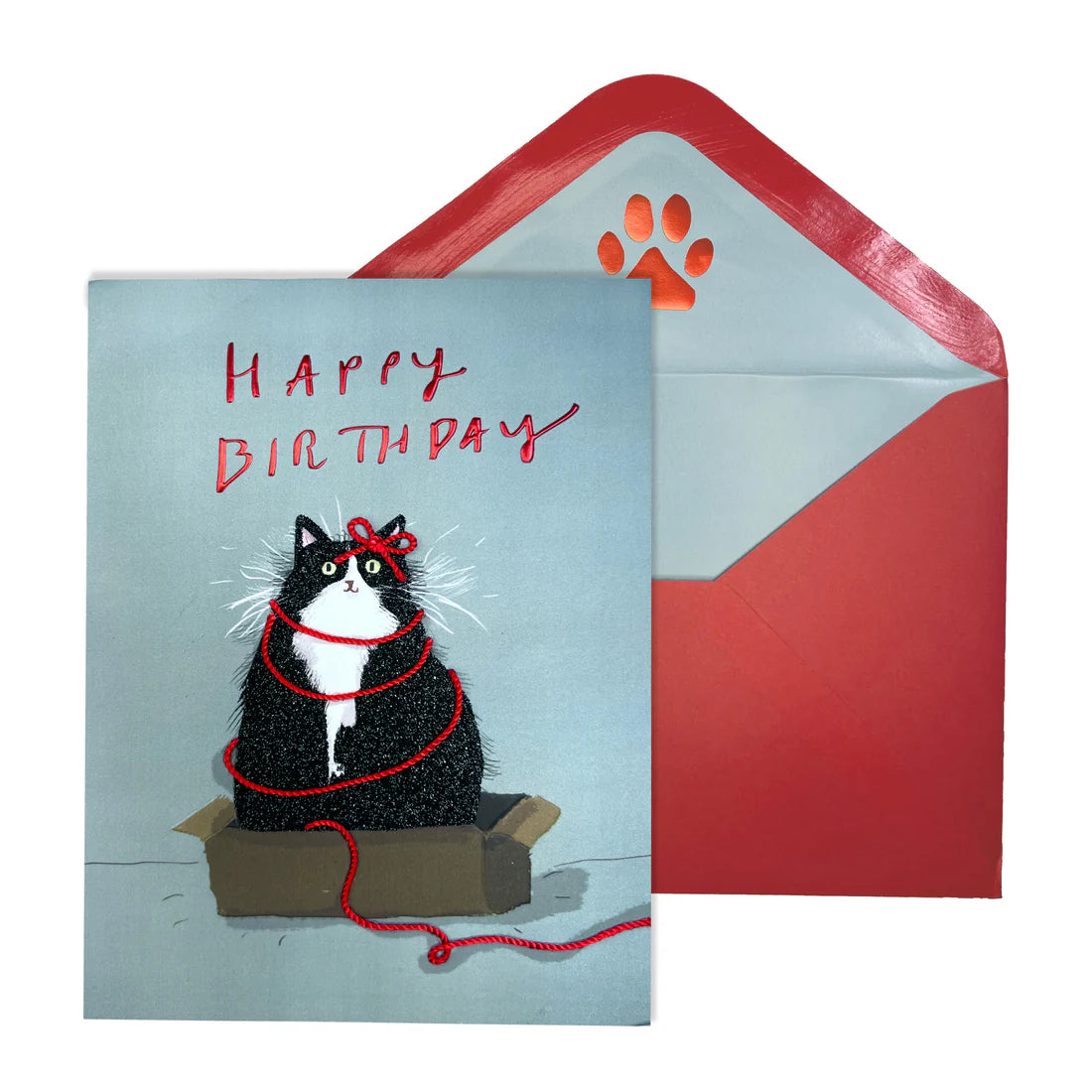 Birthday Card-Cat with Red Yarn