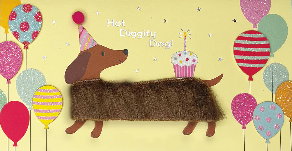 Birthday Card-Long Haired Dachshund