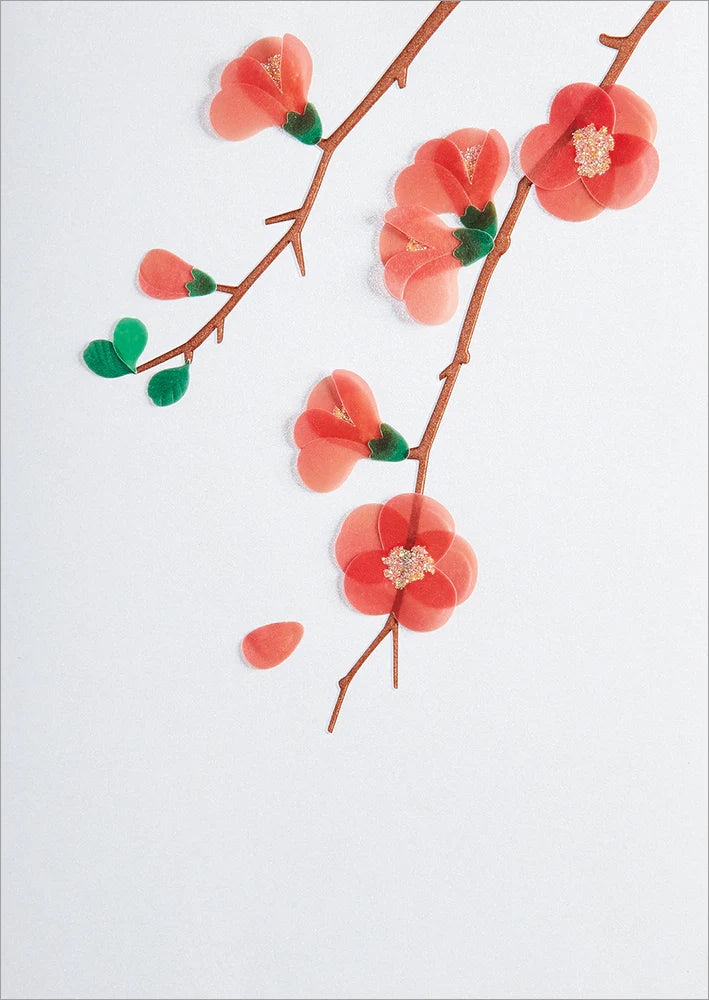 Blank Card-Quince Branches