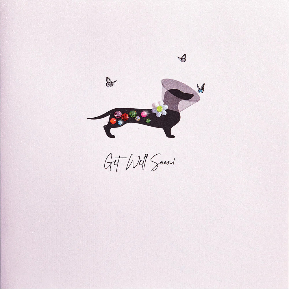 Get Well Card-Dog in a Cone