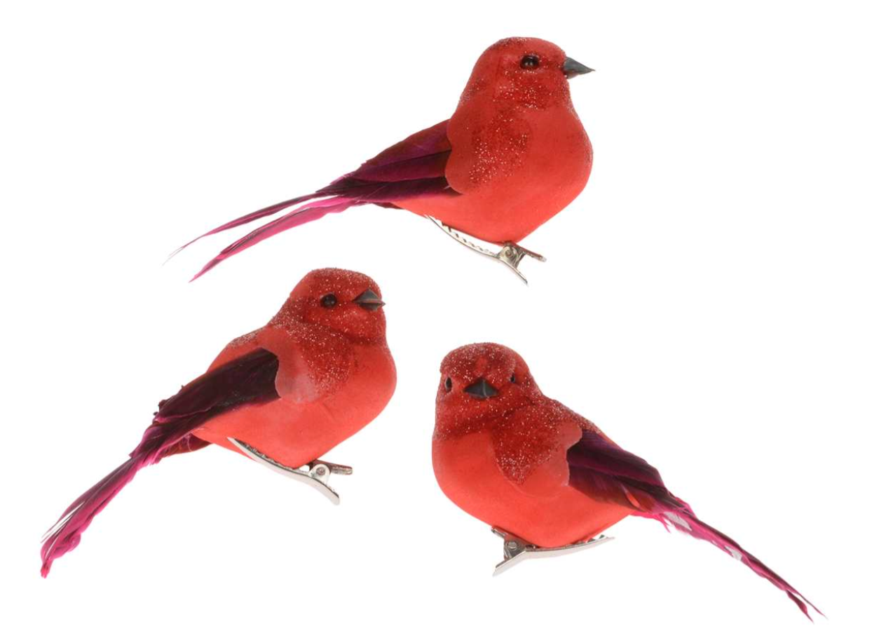 Red Bird Clip