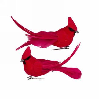 Clip on Cardinal Decoration