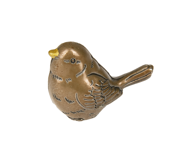 The Little Worry Bird