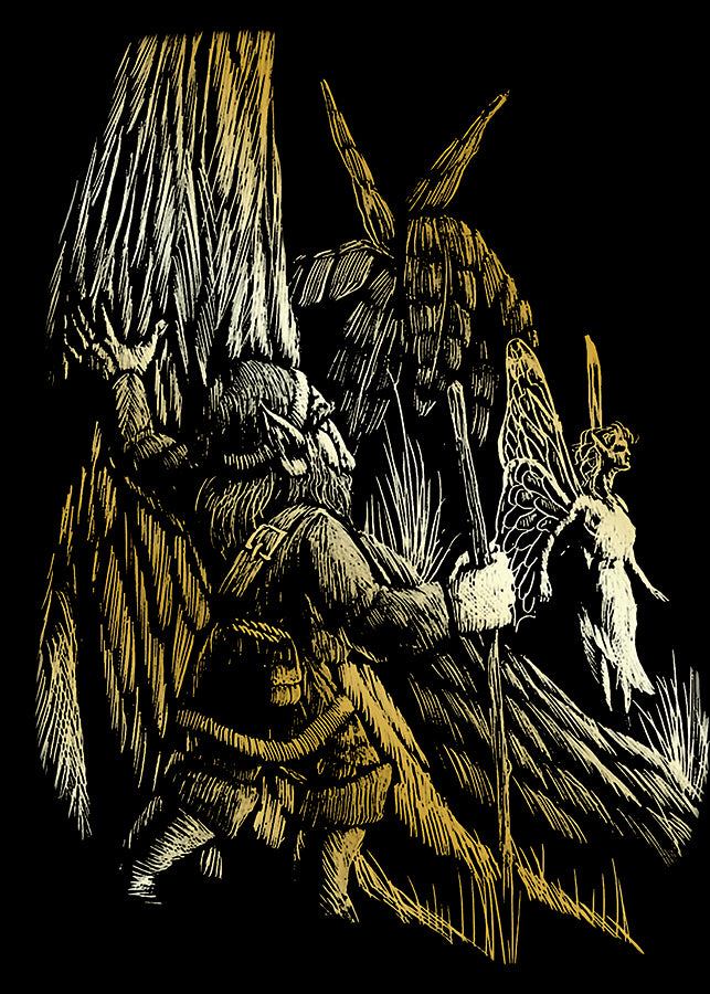 Royal & Langnickel Engraving Art: Gnome and Fairy