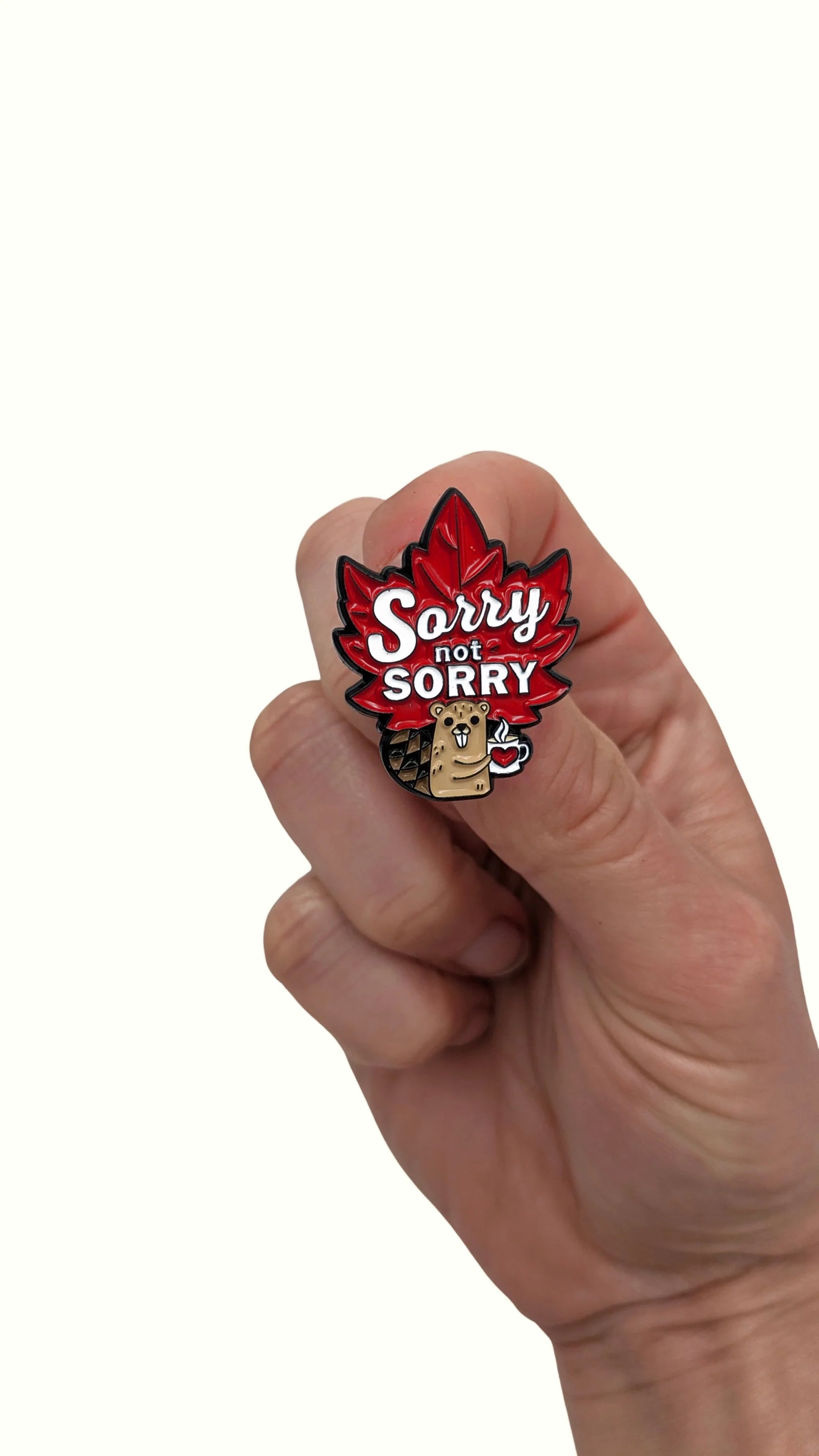 PinBox: Sorry not Sorry