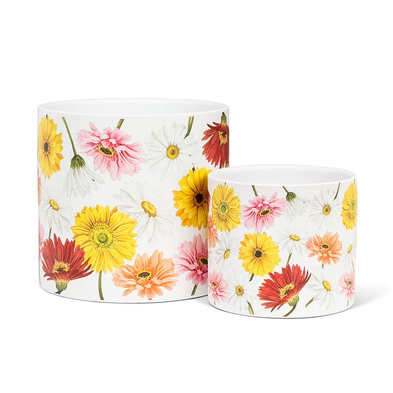 Gerbera Daisy Planter