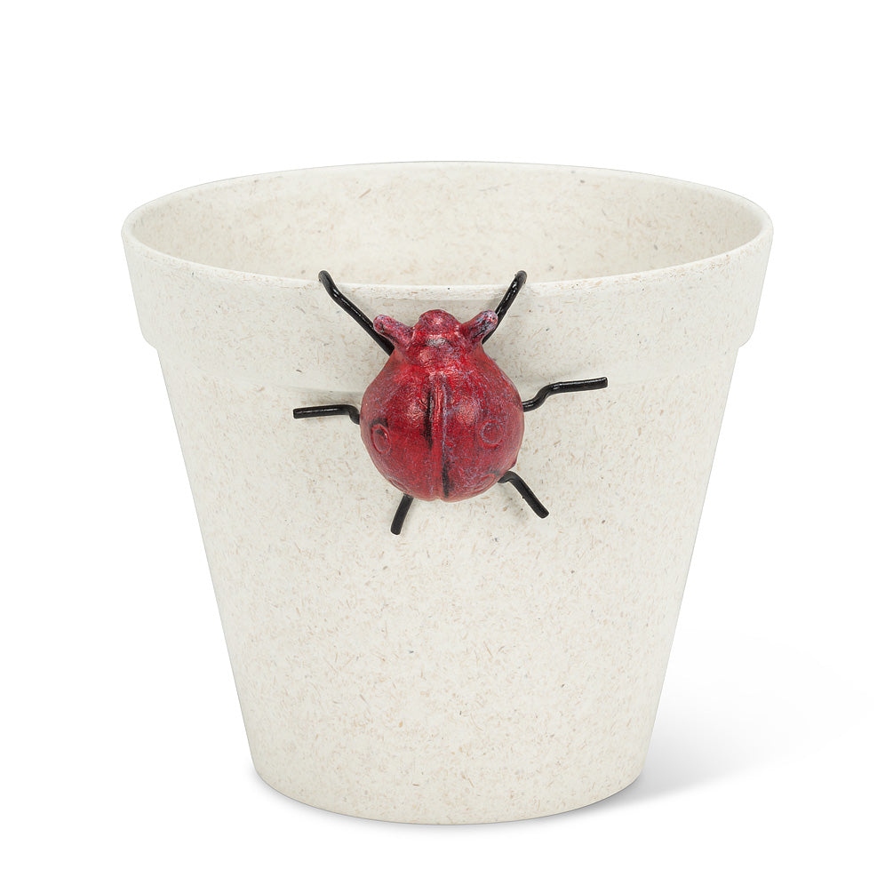 Small Hanging Ladybug