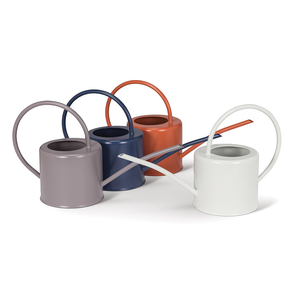Large Watering Can