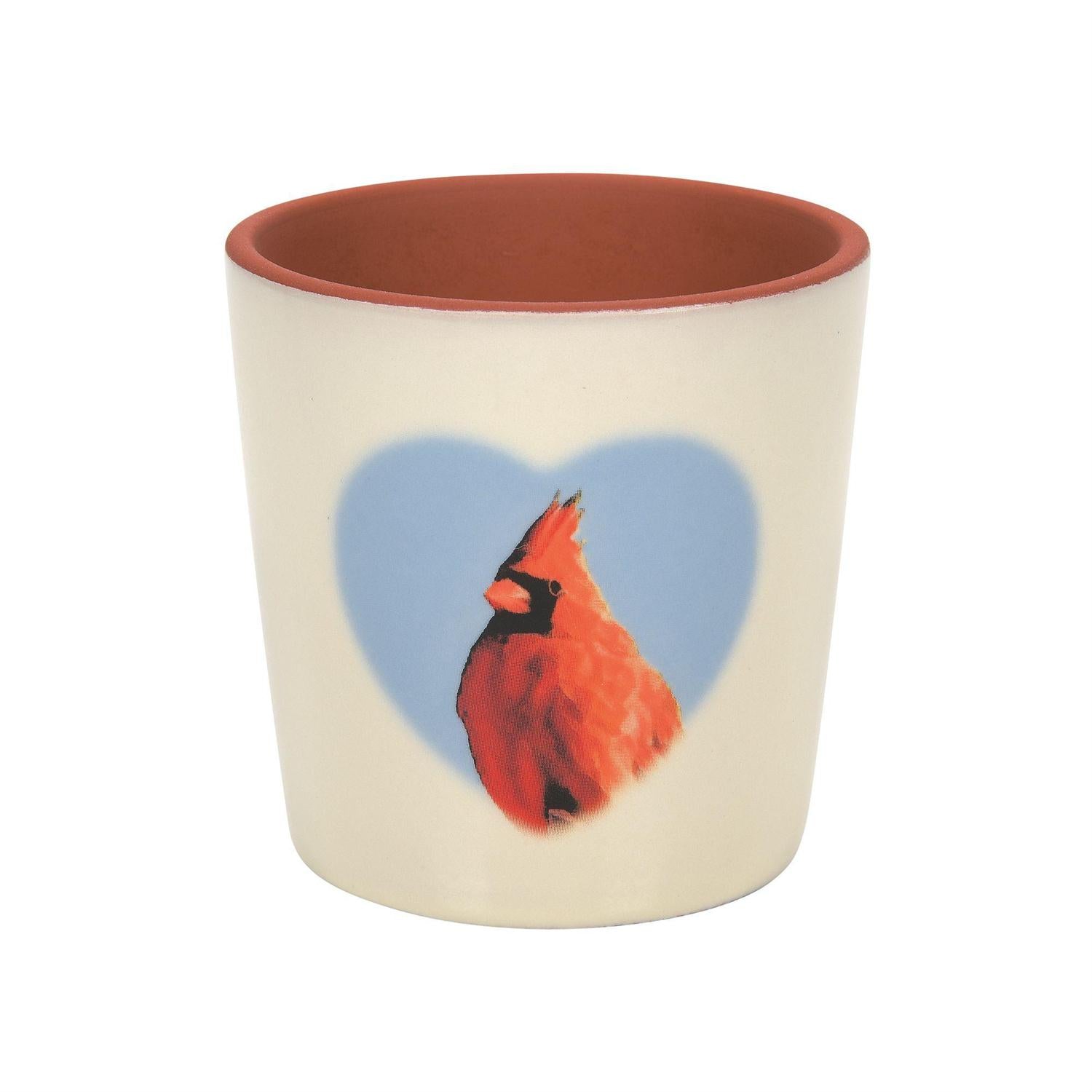 Caring Cardinals: Bloom Planter