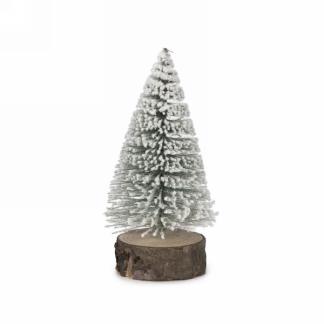 Snow Covered Tree on Log