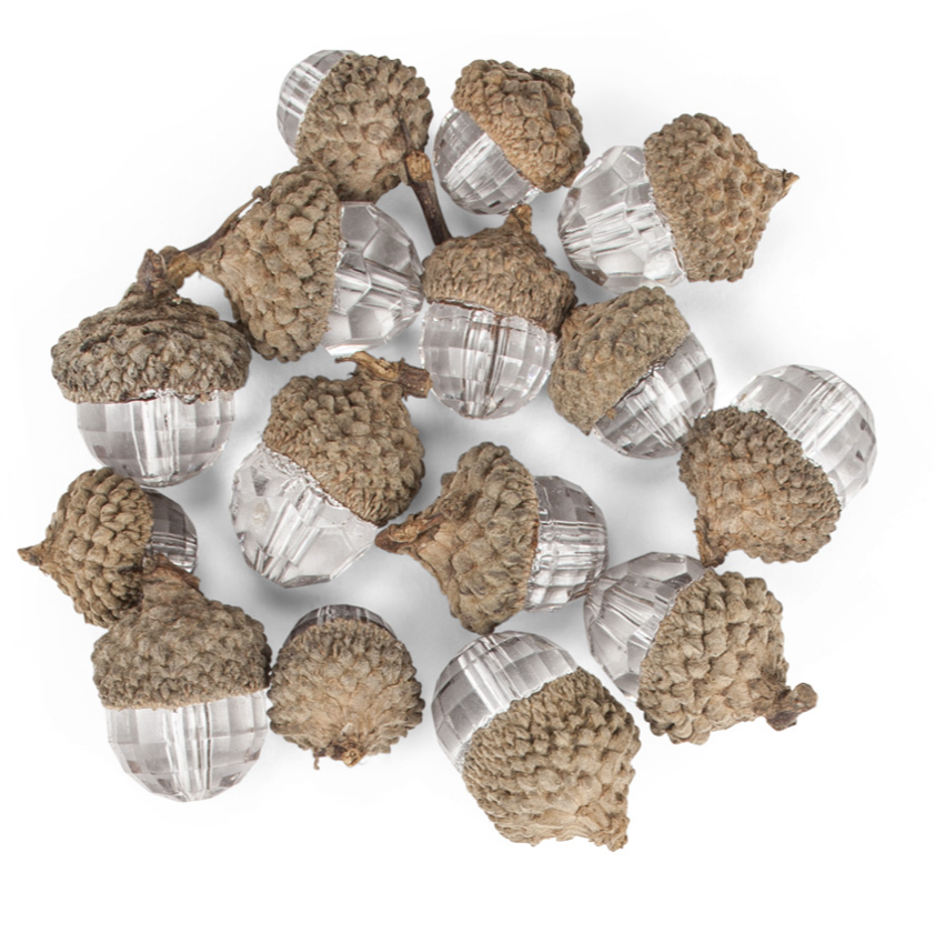 Gem Acorns-15 pieces