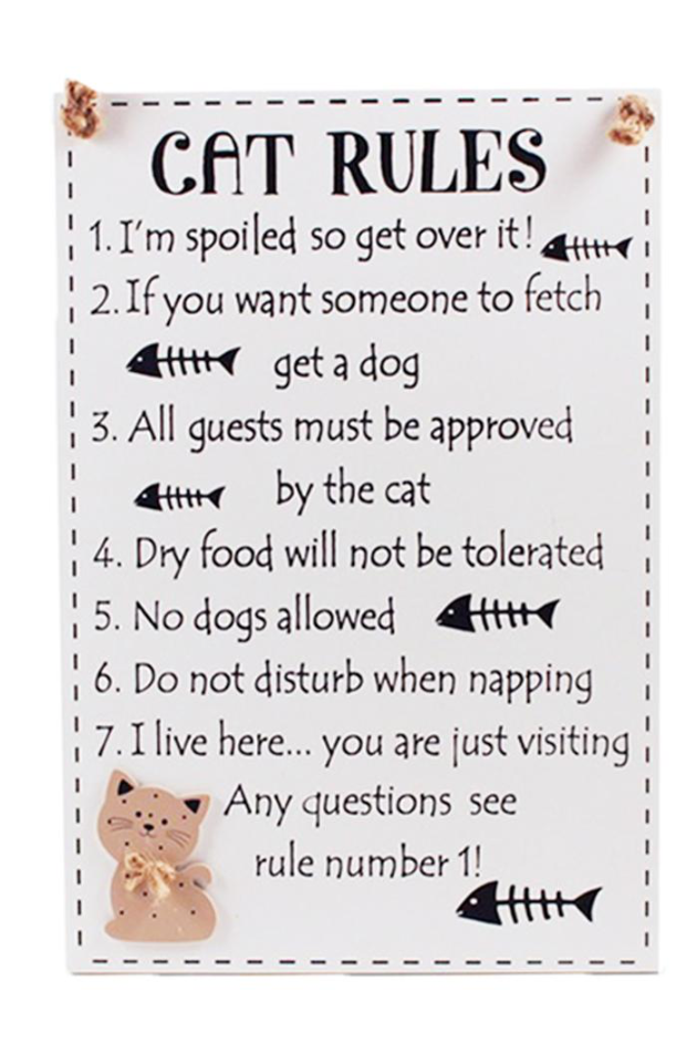 Cat Rules