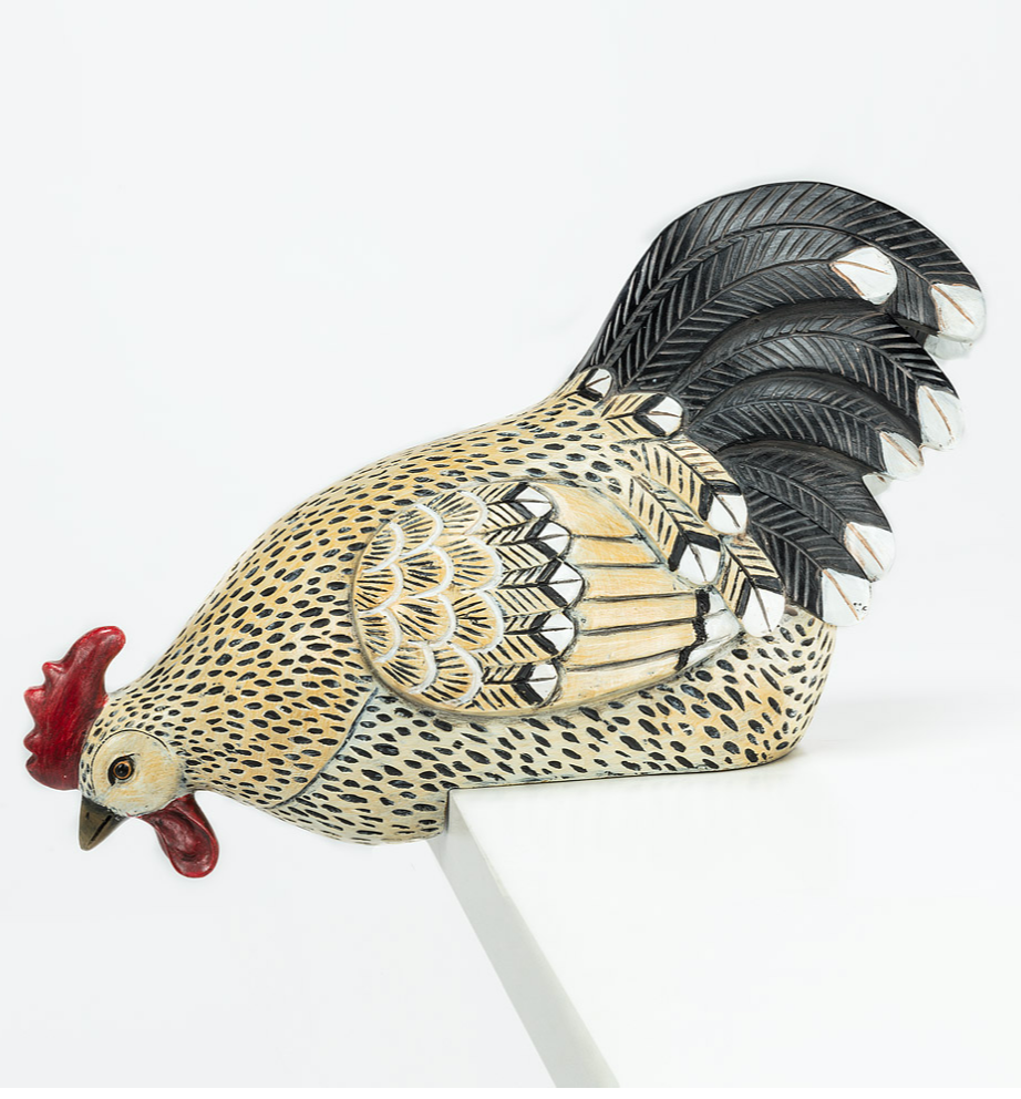 Peering or Sitting Rooster