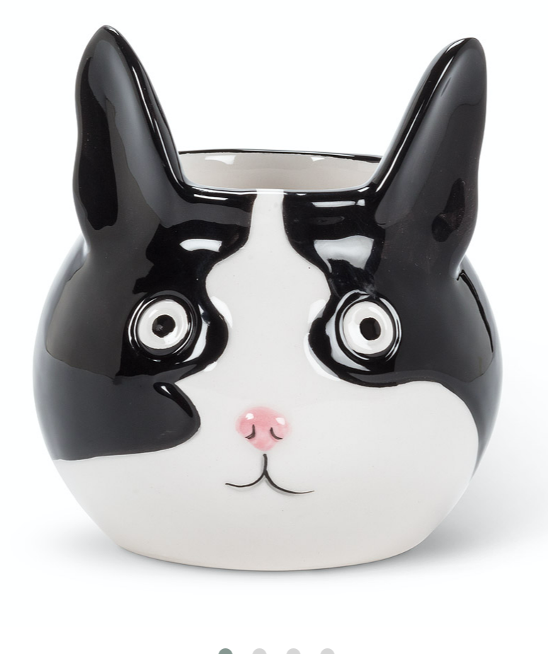 Cat Head Planter