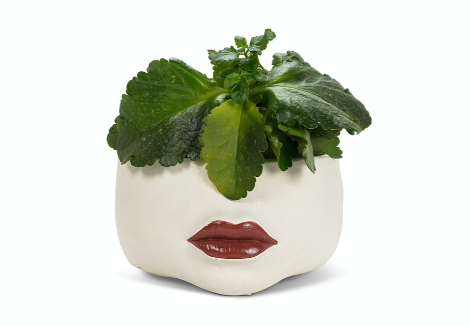 Red Lip Planter