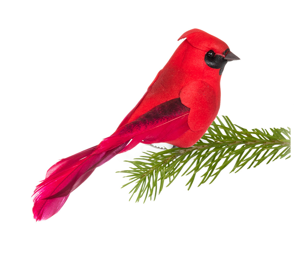 Small Cardinal Bird Clip