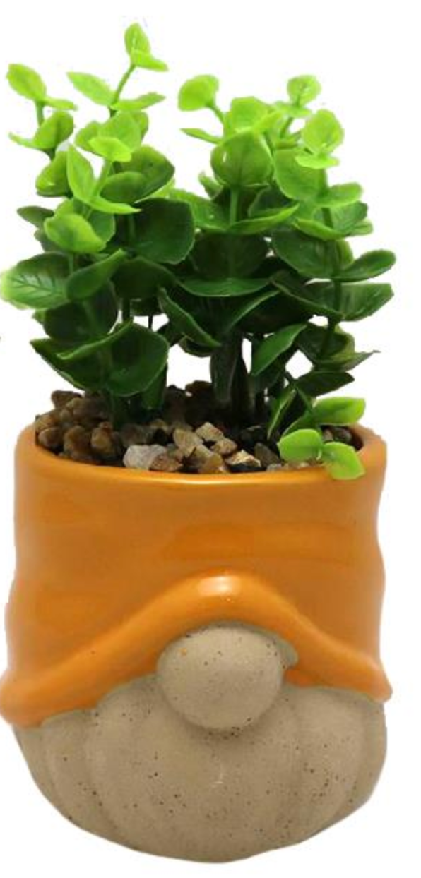 Gnome Planter with Plant