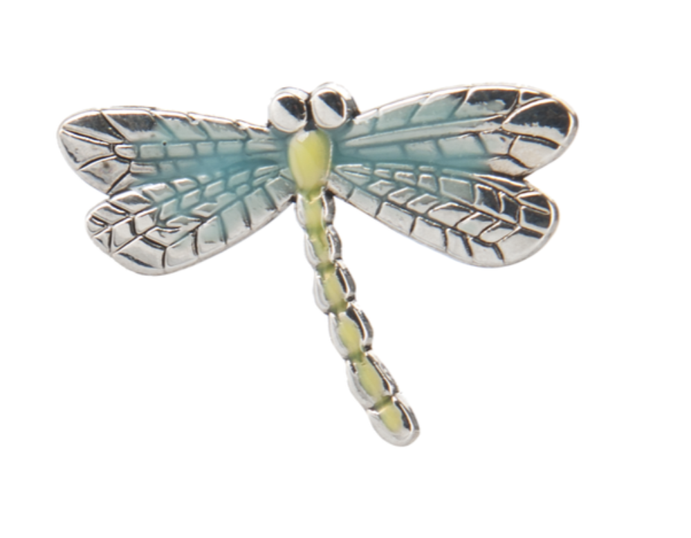 The Dragonfly A Charm of Spirit to Help Guide You