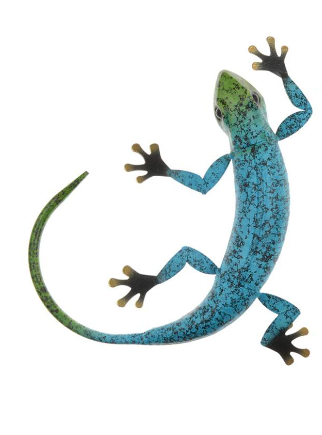 Gecko Wall Art