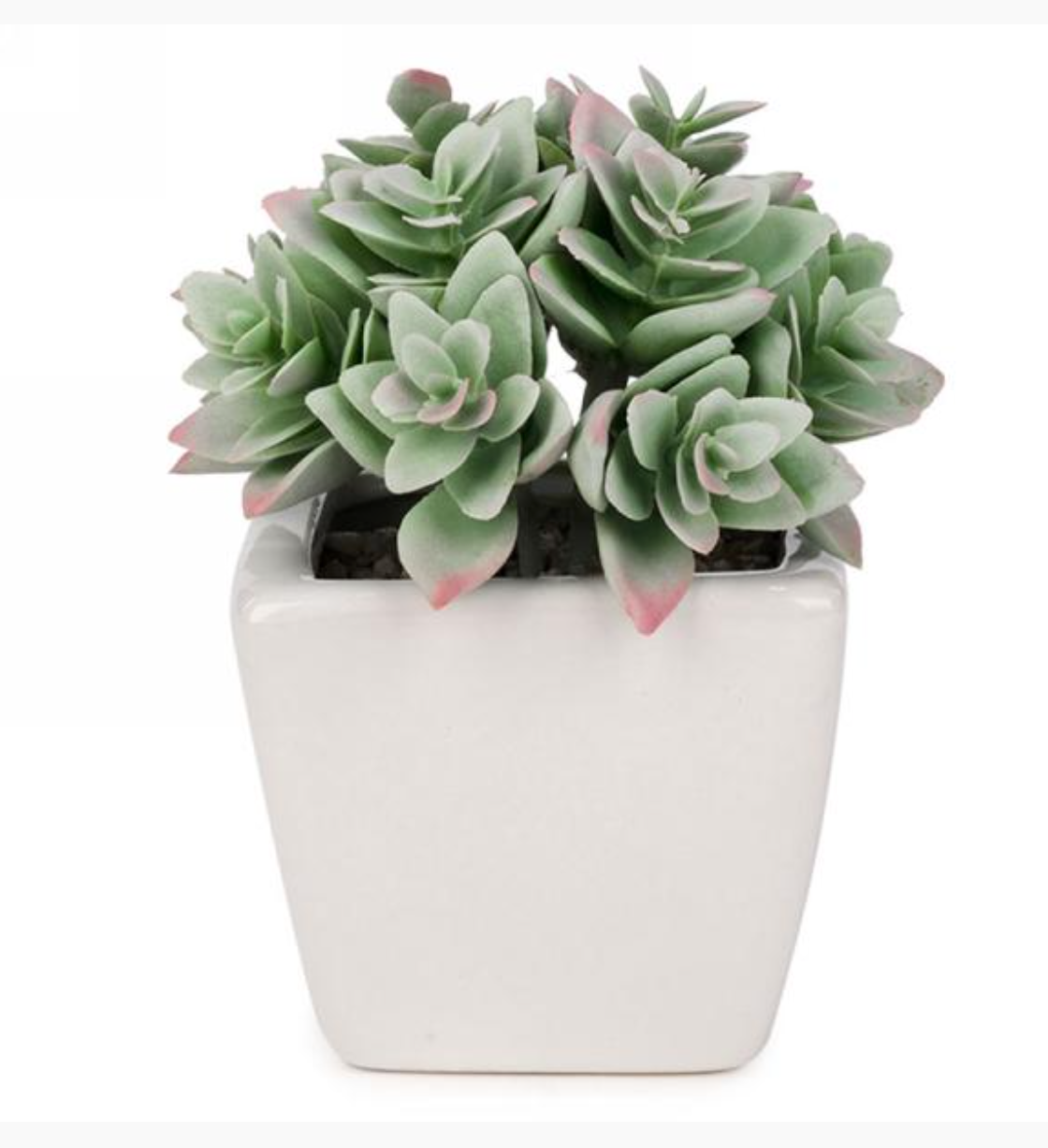Artificial Succulent