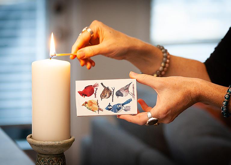 North American Birds-Box of Matches