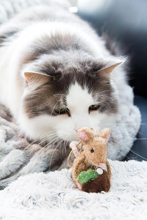 Mouse with Pudding Ornament