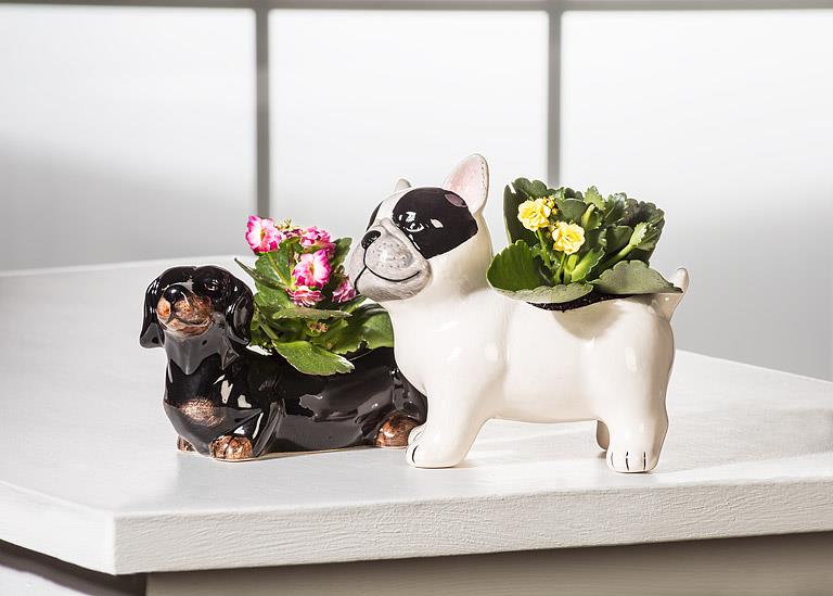 Small Boston Terrier Planter