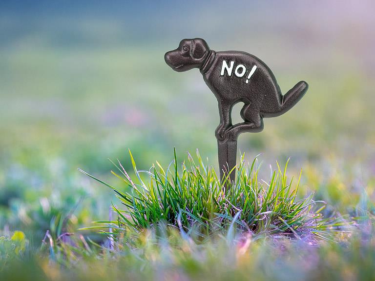 NO! Dog Ground Sign