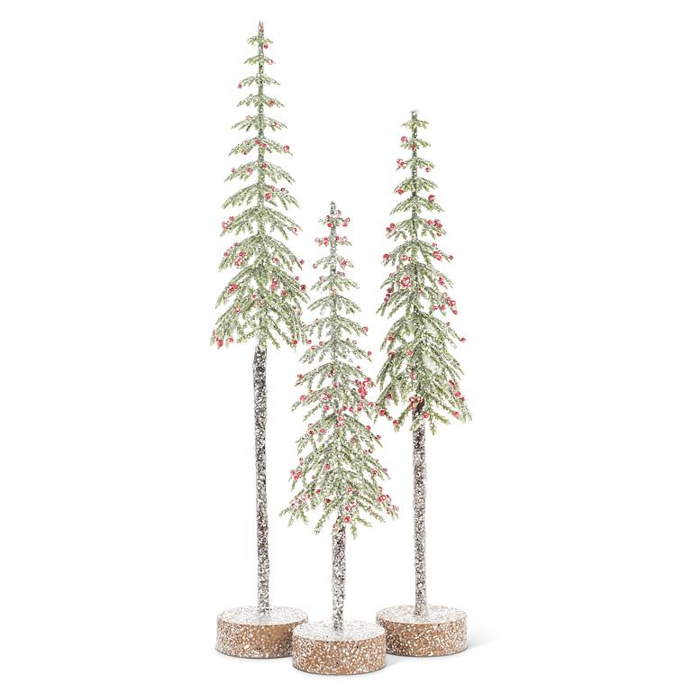 Tall Snowy Tree