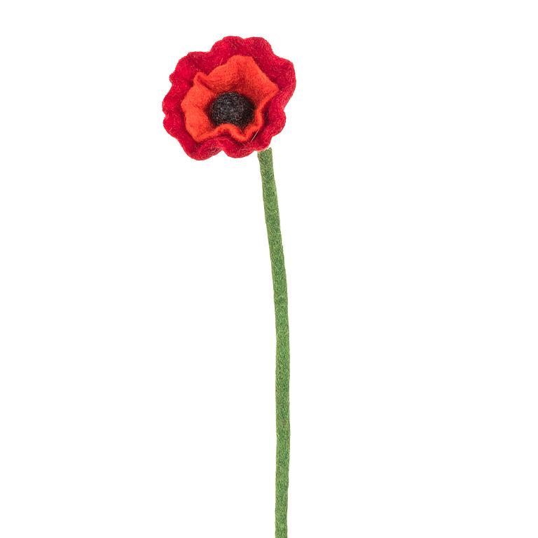 Poppy Stem