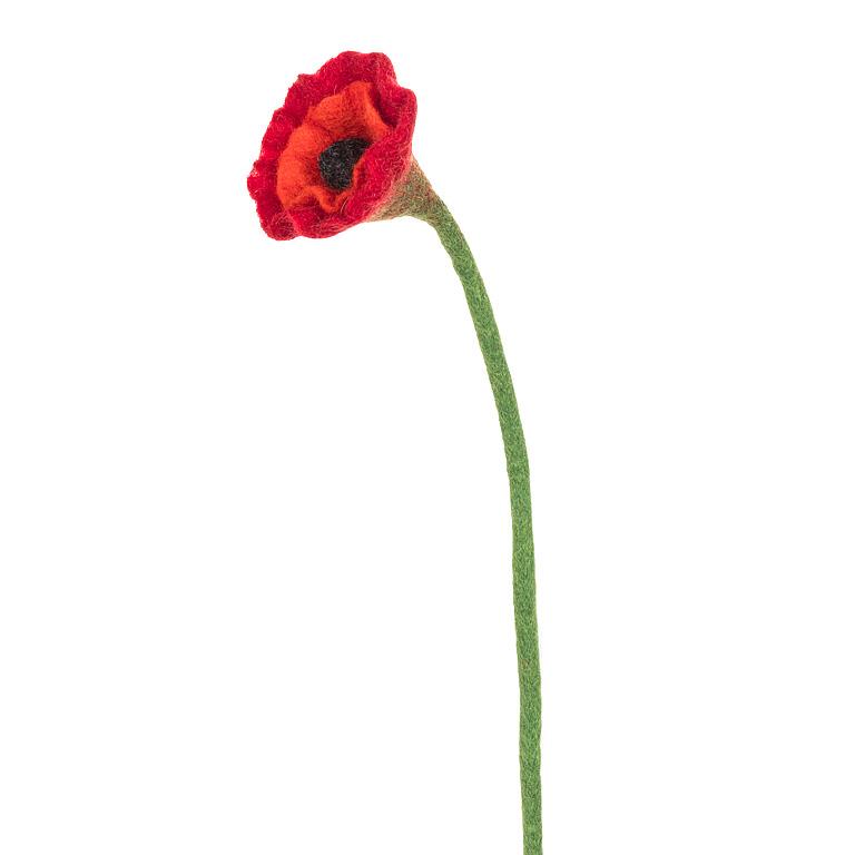 Poppy Stem