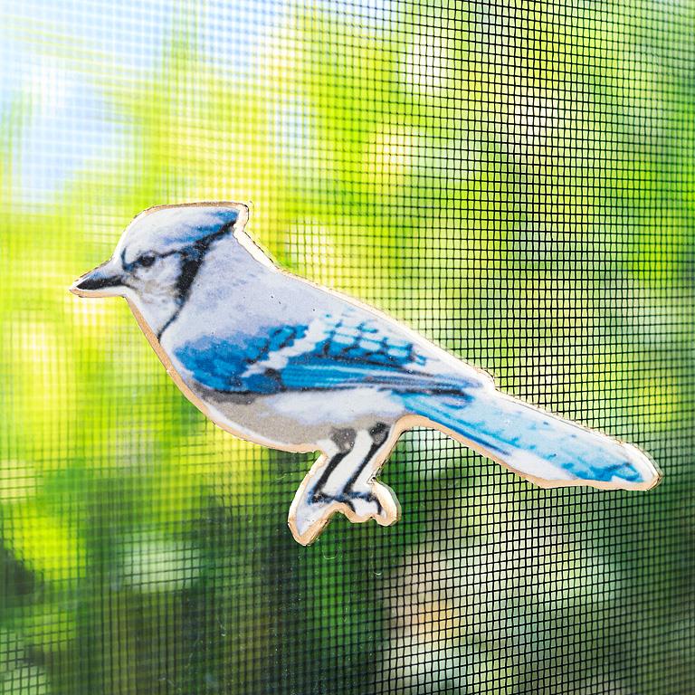 Screen Door Magnet