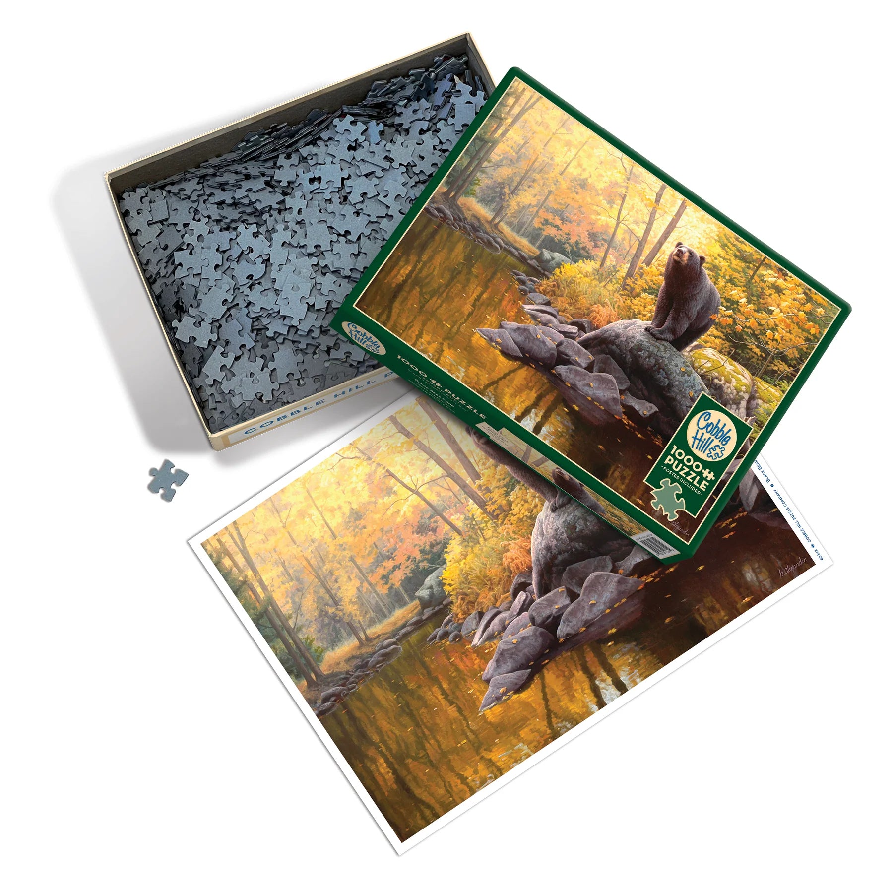 Cobble Hill Puzzle:  Black Bear Pond