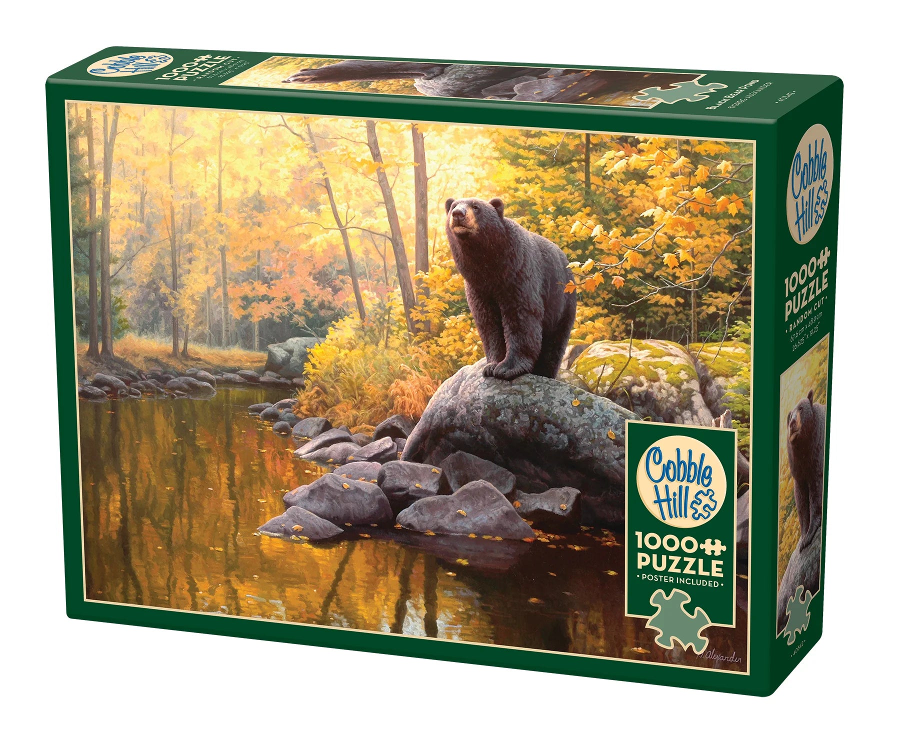 Cobble Hill Puzzle:  Black Bear Pond