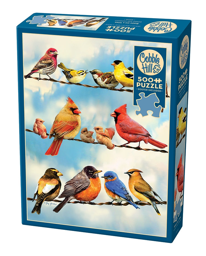 Cobble Hill Puzzle: Birds on a Wire