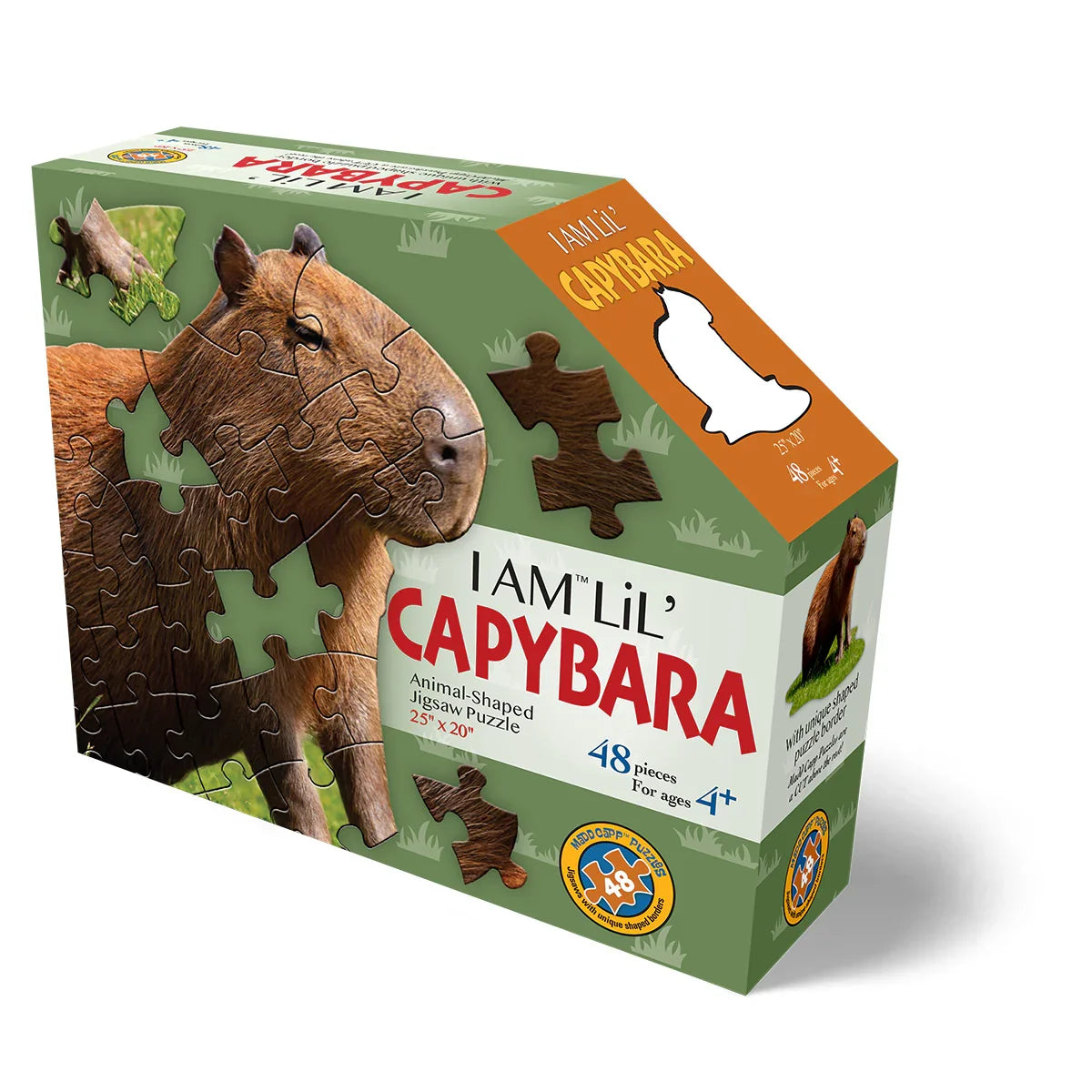 I AM Animal Puzzles: Assorted