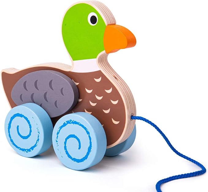 Pull Along Duck by Big Jigs Toys