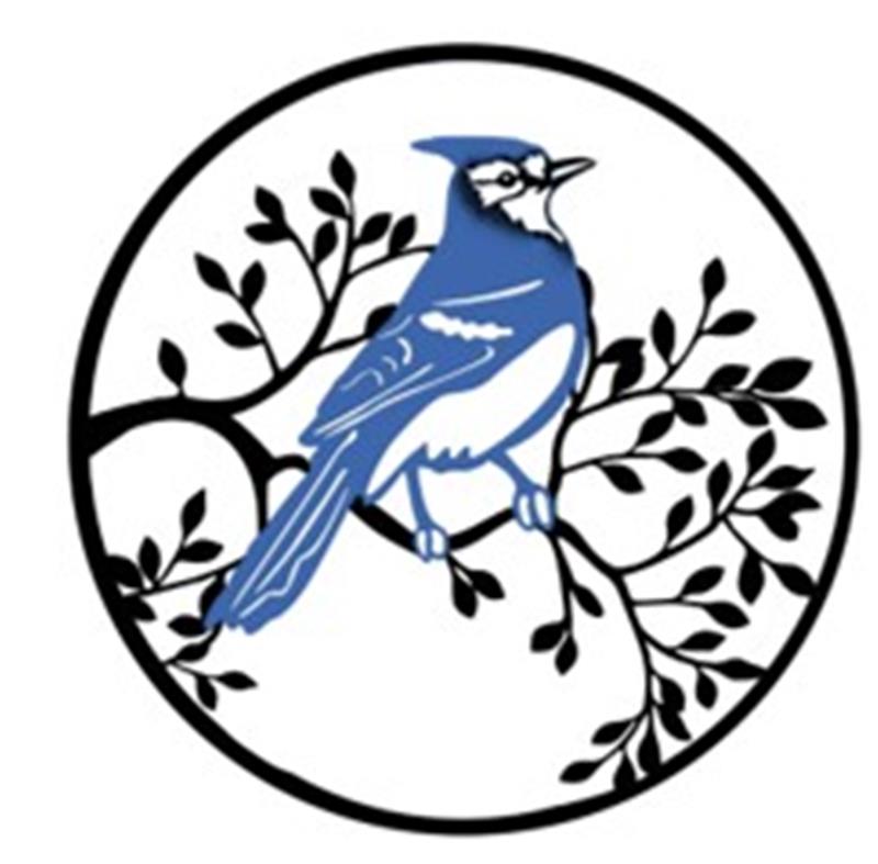 Blue Jay on Branch Wall Art