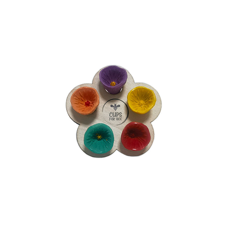 Bee Cups-Keep your Bees Hydrated