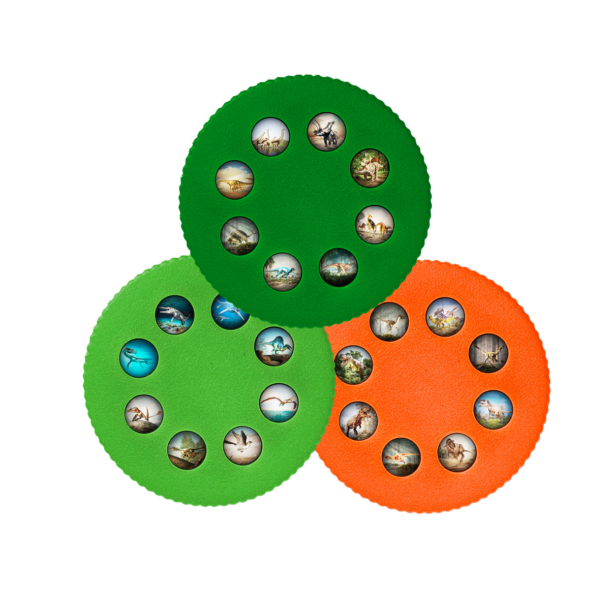 Wonder Lights Educational Flashlight Projector: Dinosaurs
