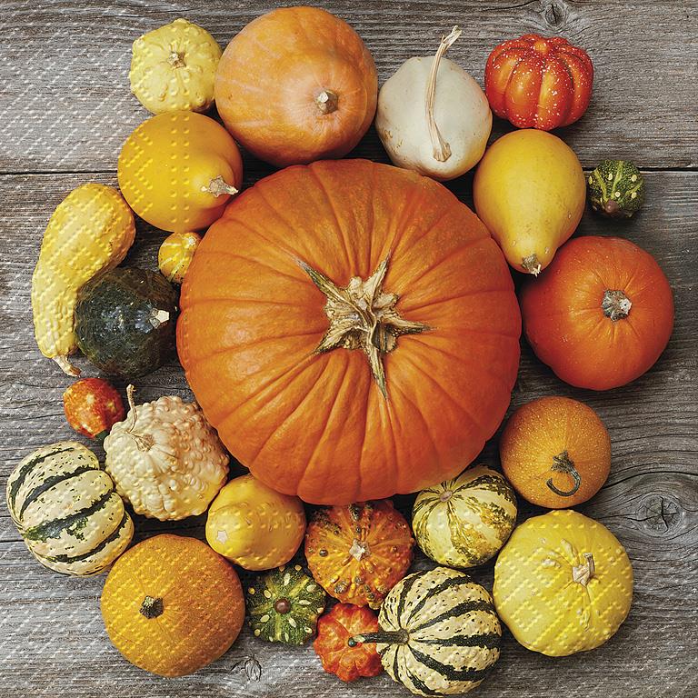 Pumpkin Collage Luncheon Napkins