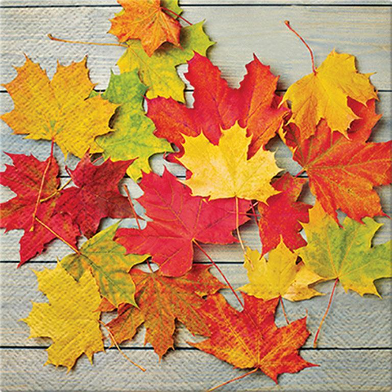 Luncheon Napkin: Colourful Maple Leaves